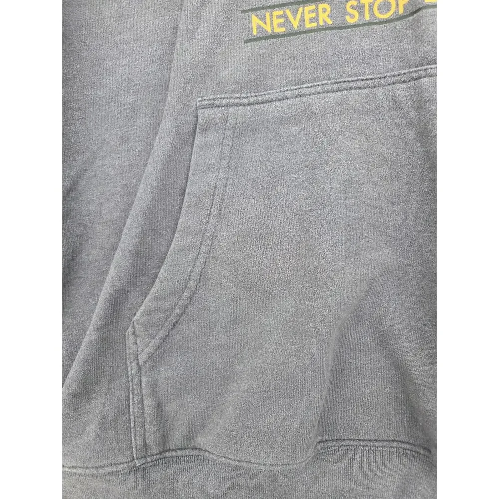 The North Face Mens Hoodie Sweatshirt Large Gray Pullover Graphic Logo READ